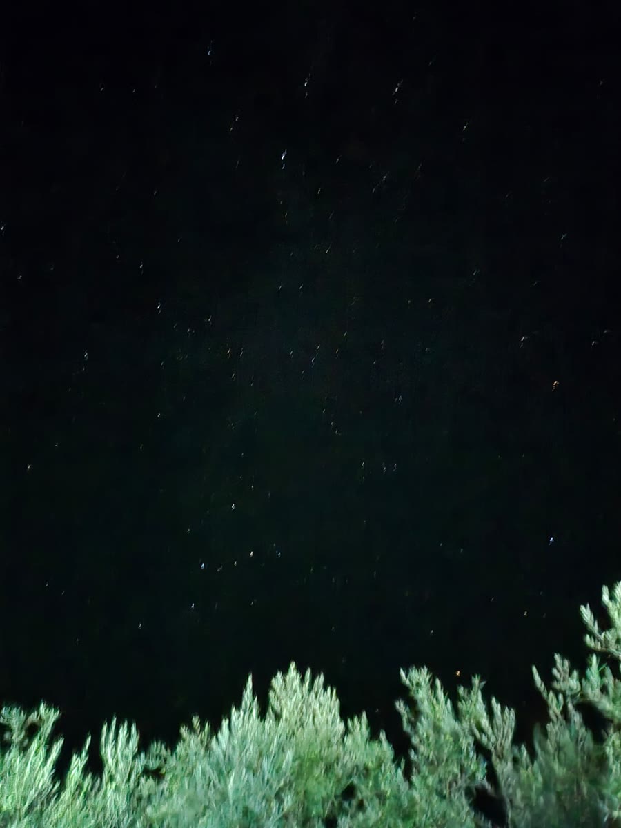 Cielo estrellado sobre la casa